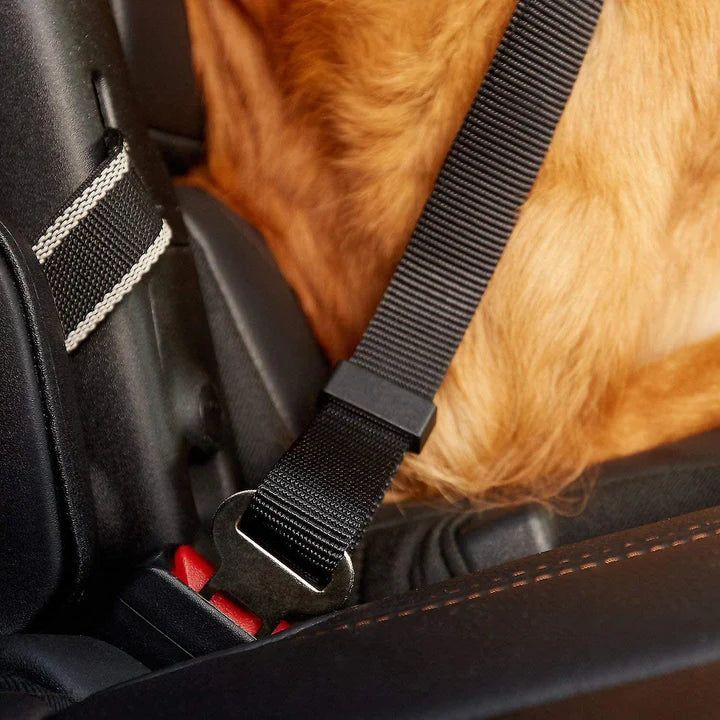 SafetyBelt™ | Keeps Your Pet Safe in the Car!