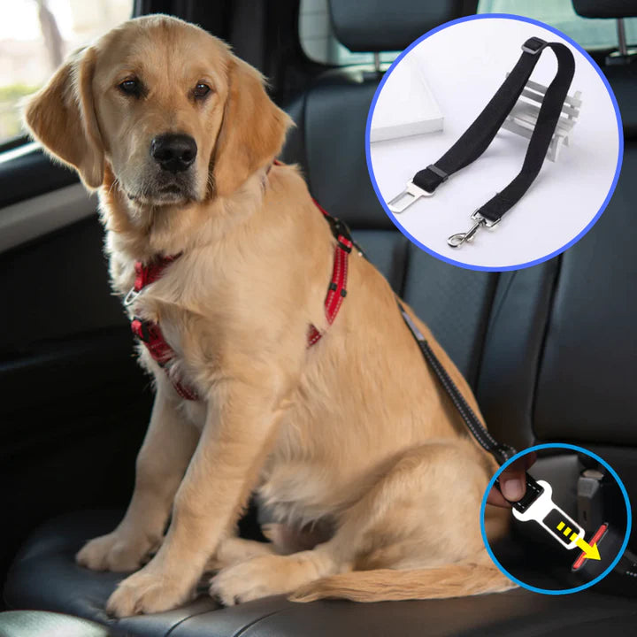 SafetyBelt™ | Keeps Your Pet Safe in the Car! - UpLivings